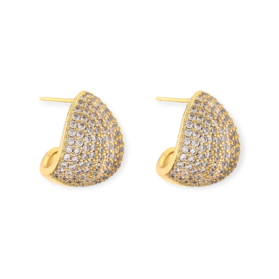 Pave Cage Hoops