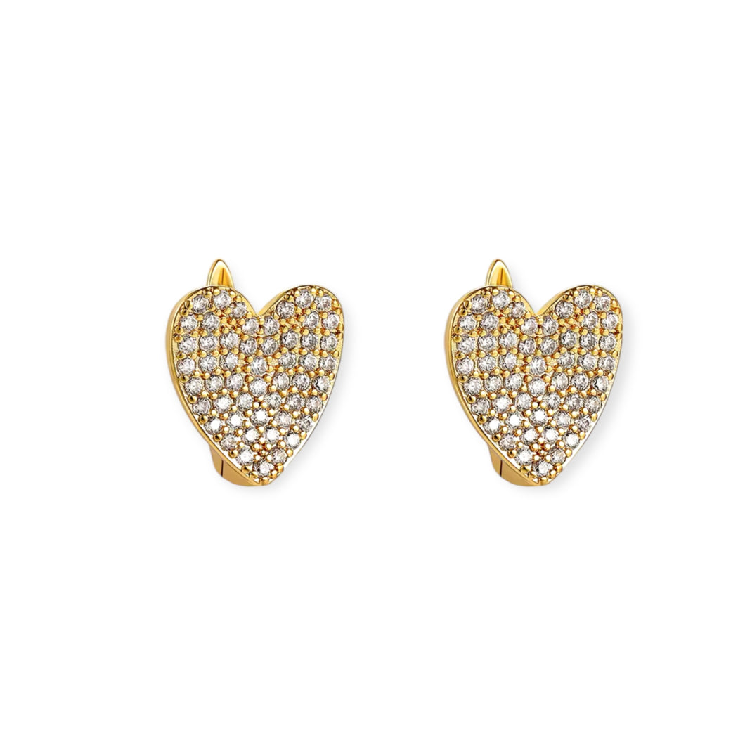 Heart with Zirconia Earrings